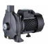 Поверхностный насос PUMPMAN TCP158 (750 Вт., 100 л/мин, напор 30 м, всас. 8)