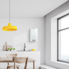 Колонка газовая Zanussi GWH 10 Fonte